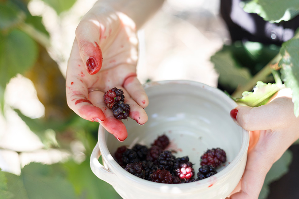 Duca di Castelmonte agriturismo in cui assaporare il tempo
