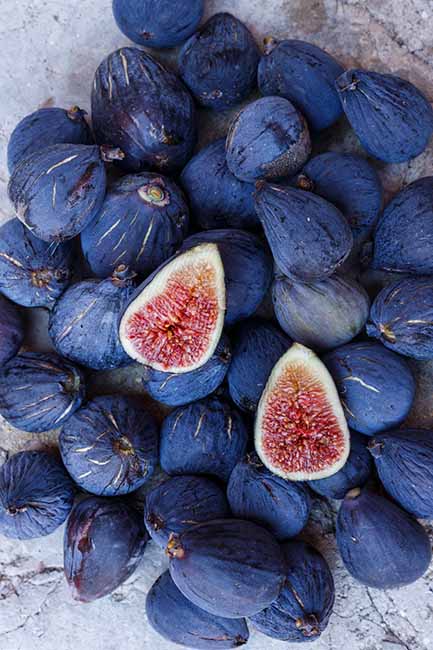 Duca di Castelmonte agriturismo in cui assaporare il tempo