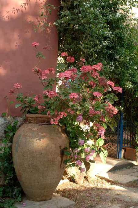 Duca di Castelmonte agriturismo in cui assaporare il tempo