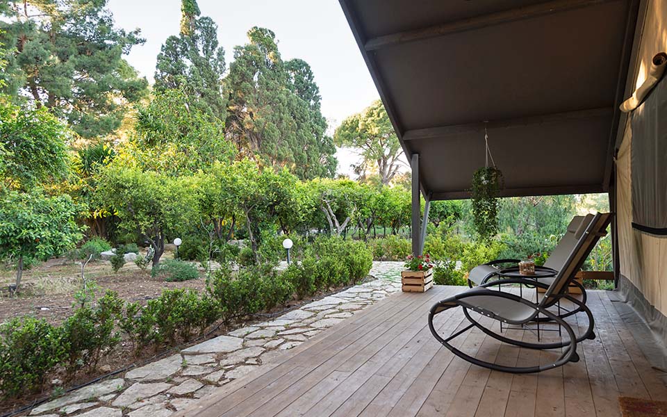 Glamping, tra ulivi e cielo Duca di Castelmonte Agriturismo