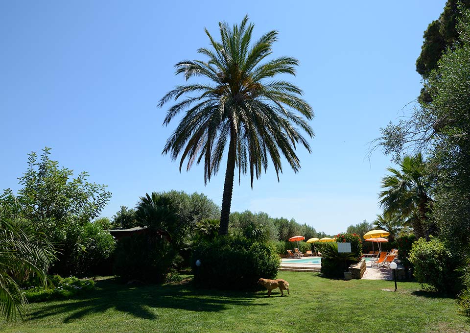 La piscina mediterranea, Duca di Castelmonte Agriturismo Trapani
