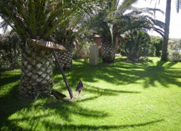 Piscina agriturismo Duca di Castelmonte - Trapani