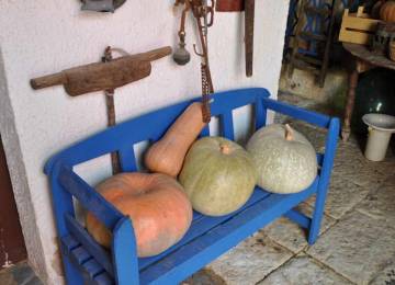 Duca di castelmonte - Agriturismo Trapani