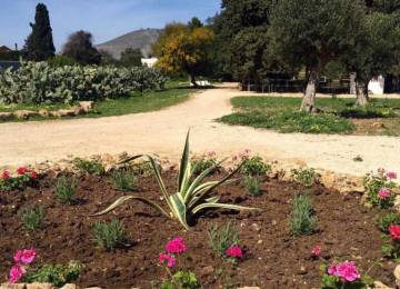 Duca di castelmonte - Agriturismo Trapani