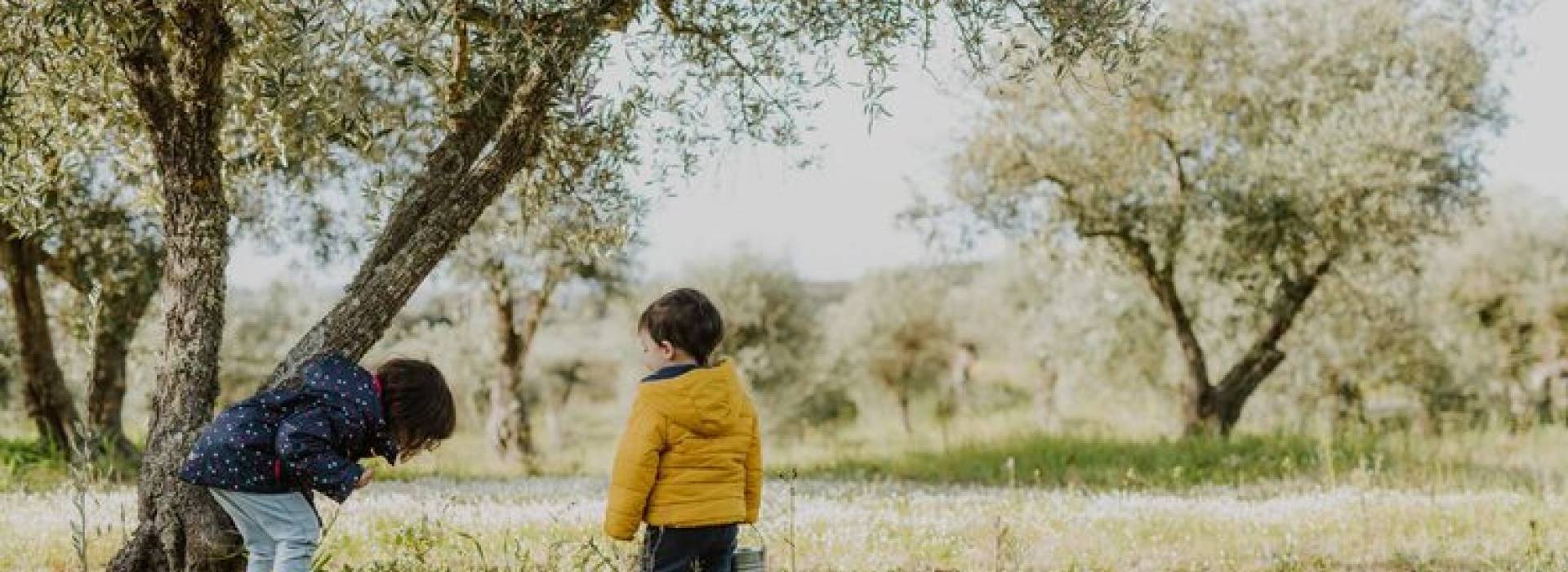 Camere San Vito Lo Capo - Duca di Castelmonte